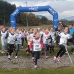 Cross Country Lauf Landesmeisterschaften