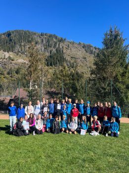 Medien (14)