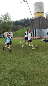 Medien (26)